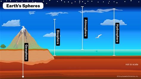 Biosphere - Biology Simple