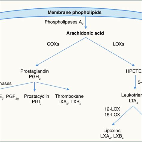 (PDF) Pathogenesis and Progression of Multiple Sclerosis: The Role of ...