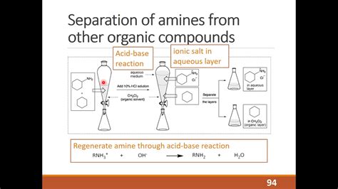 Reactions of Amines and Amides - YouTube