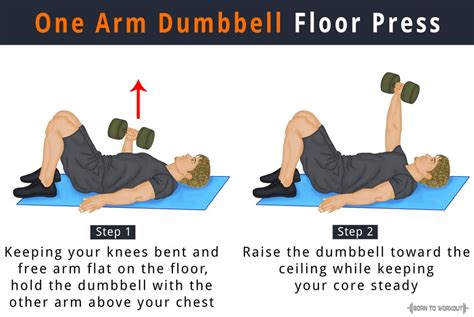 Floor Dumbbell Press Muscles Worked | Viewfloor.co