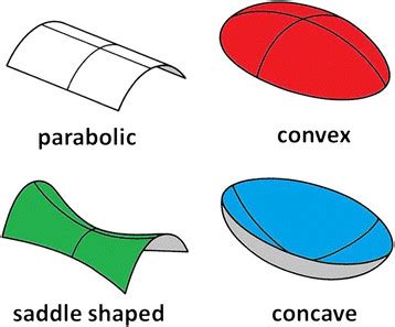 Basic types of surface curvature. Colours refer to curvature maps... | Download Scientific Diagram