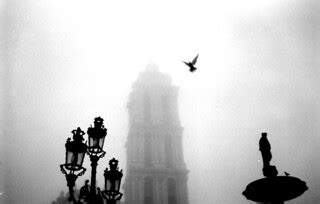 The dove | Saltillo's fog. A dove flies and appears just in … | Flickr