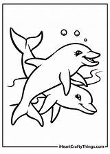 Coloring Pages Of Cute Dolphins sketch template