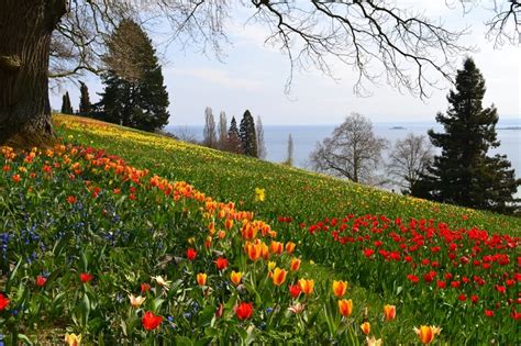 34 best Bodensee images on Pinterest | Islands, Germany and Switzerland