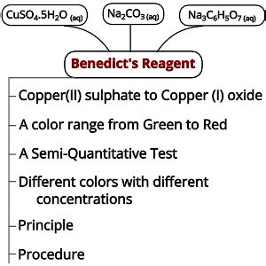 Benedict's Reagent: A Semi-Quantitative Test - PSIBERG