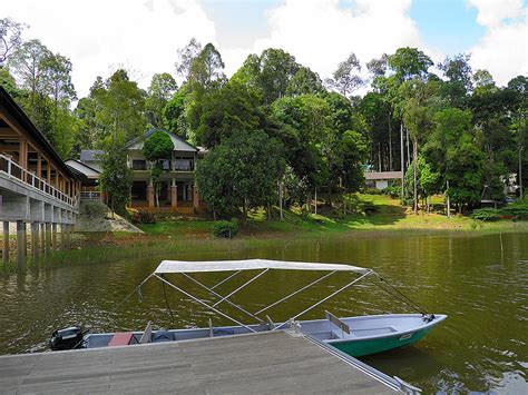 Lake Chini - GoWhere Malaysia