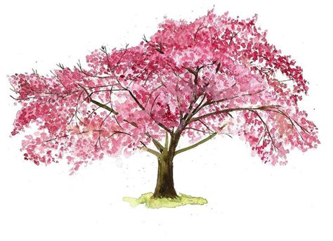 Pin by Calena Gray on Tattoos | Cherry blossom art, Cherries painting ...