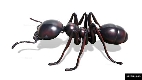 Ant Sculpture - The 4 Kids