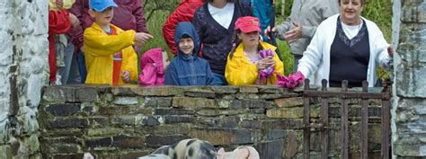 Traditional Irish farms to visit in Ireland ☘️ • Go-to-Ireland.com