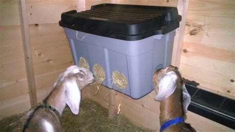 Best goat hay feeder - animationshery