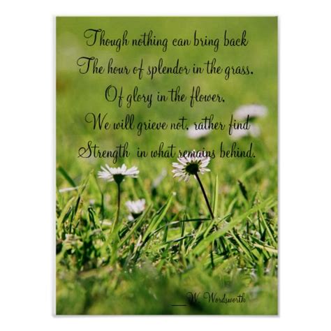 Splendor In The Grass Quotes. QuotesGram