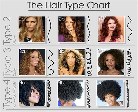 hair type chart