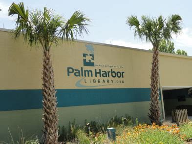 Palm Harbor Library Puts Callout for Artists | Palm Harbor, FL Patch