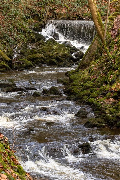 Premium Photo | A waterfall in the woods with a waterfall in the background.