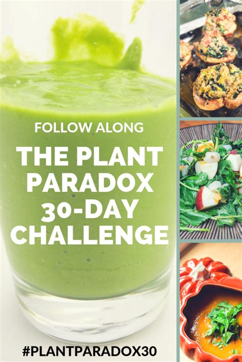 The Plant Paradox 30-Day Challenge – Lectin Free Mama