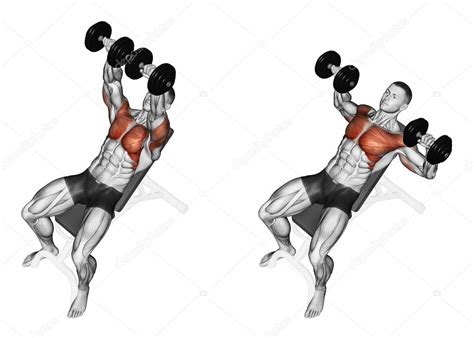 Dumbbell bench press while lying on an incline bench Stock Photo by ©print4ready@yahoo.com 114060930