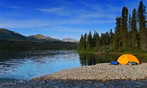 Go wild in Yukon and Alaska with Naturetrek Canada