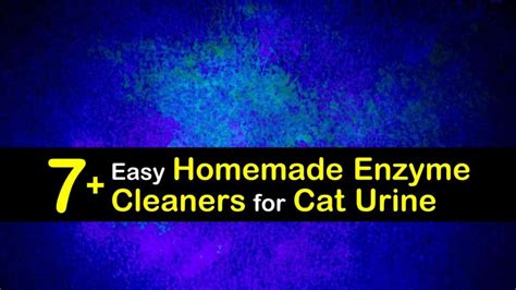 7+ Easy Homemade Enzyme Cleaners for Cat Urine