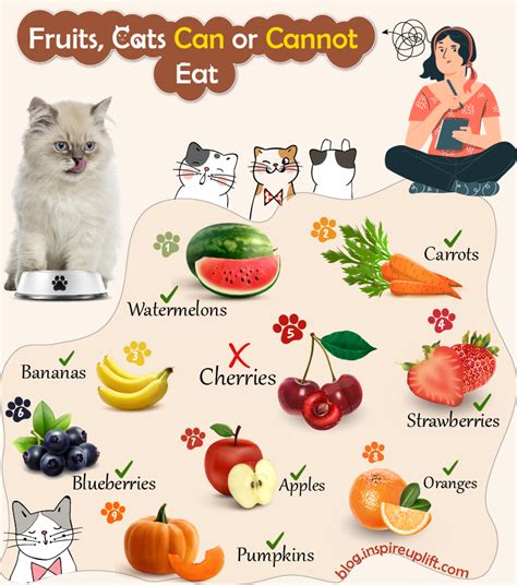 27 Foods Cats Can Eat And Cant Eat (2022 Guide) Oxford Pets | atelier-yuwa.ciao.jp