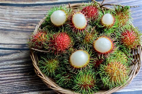 Rambutan Fruit Tree 10132725 Stock Photo at Vecteezy