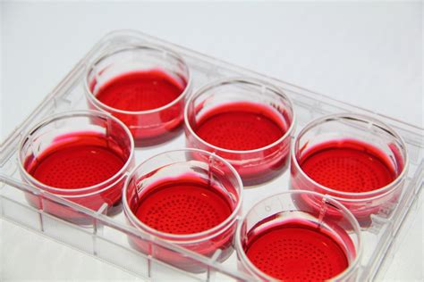 CellSphere™ CE0706 (6-Well Plate, 165 micro wells) - Biomaterials USA