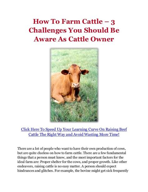 How To Farm Cattle – 3 Challenges You Should Be Aware As Cattle Owner