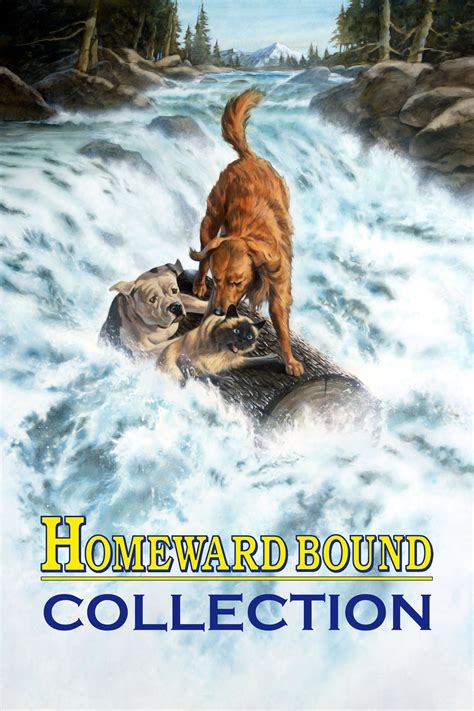 Homeward Bound Collection - Posters — The Movie Database (TMDB)