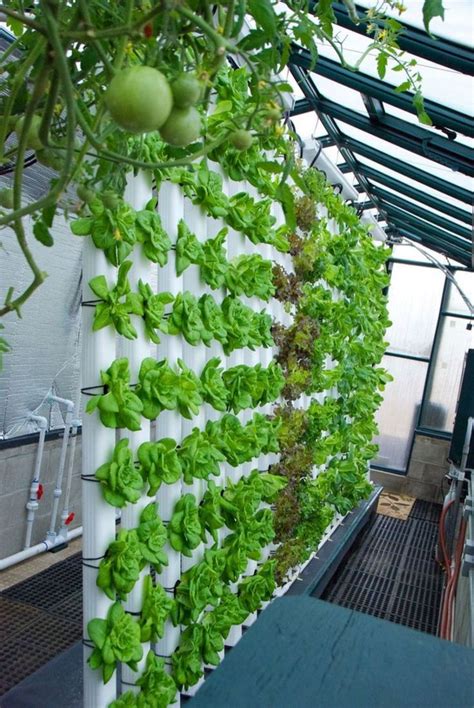 Best Hydroponic Garden Ideas 120 | Hydroponic gardening, Vertical ...