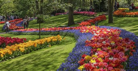 Keukenhof Gardens Amsterdam Tickets - apple-orange-mango