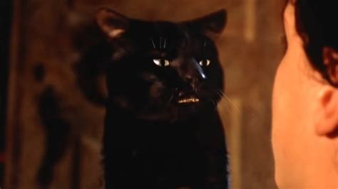 The Actor Who Voices Binx The Cat From Hocus Pocus Is Gorgeous In Real Life