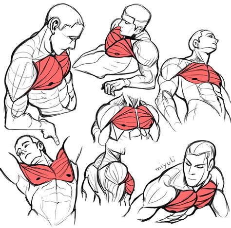 Miyuli・ミユリ on Twitter: "practising drawing pecs from difficult angles ...