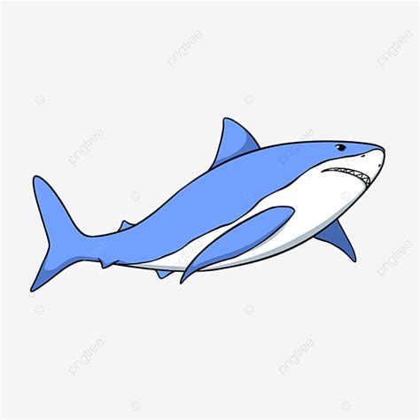 Blue Shark Clipart Transparent PNG Hd, Hand Drawn Blue Shark Clipart Cartoon Style, Shark ...