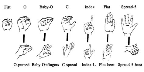 The Sign Language of Music: Musical Shaping Gestures (MSGs) in ...