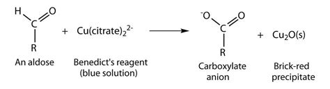 Benedict's Test : Principle, Reagent Preparation, Procedure and ...