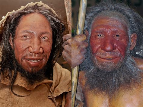 50 Surprising Neanderthal Facts About These Extinct Humans – Facts Bridage