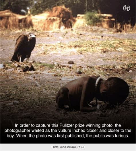 Vulture And Child