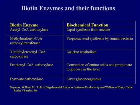 The Function of Biotin