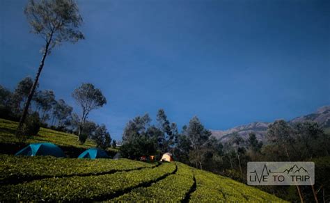 Munnar Kolukkumalai Camping Trekking Jeeps Safari Package