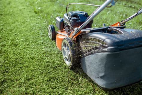 Lawn mower cutting grass stock image. Image of mover - 163031423