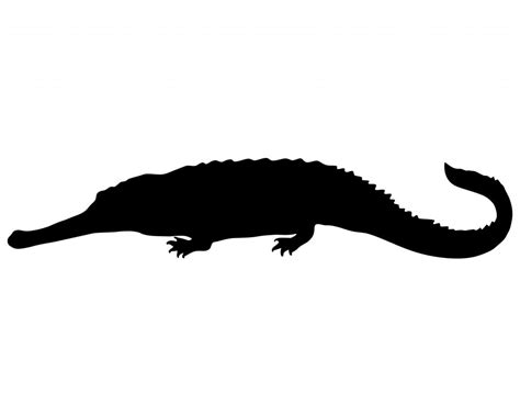 Crocodile Silhouette | Wallpapers Gallery