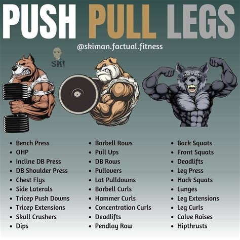 📚 Are you struggling with diet and training routines? "Fitness Foundation Push Pull Workout ...