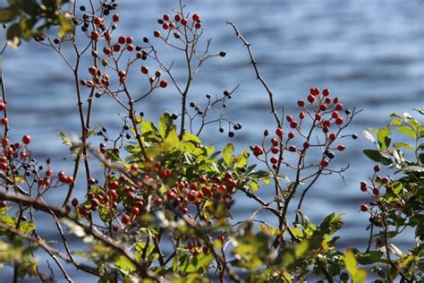 WERTHEIM NATIONAL WILDLIFE REFUGE - Updated October 2024 - 358 Photos & 29 Reviews - 340 Smith ...