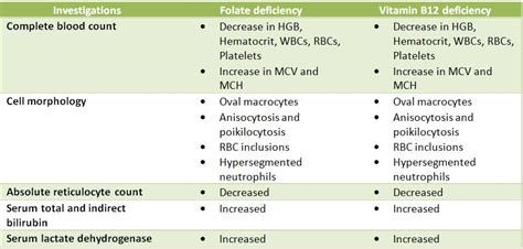 Laboratory investigations to diagnose megaloblastic anemia – Histopathology.guru