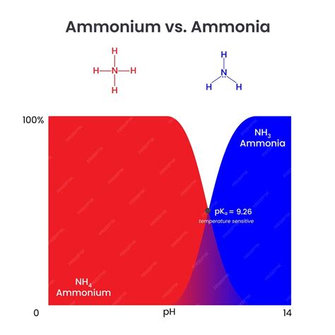 Premium Vector | Ammonium versus ammonia comparison science vector ...