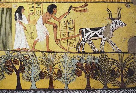 Ancient Egyptian Agriculture, Farming, Diet, Animals - Crystalinks