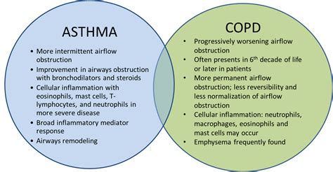 Asthma and COPD – Overlapping Disorders or Distinct Processes? | IntechOpen