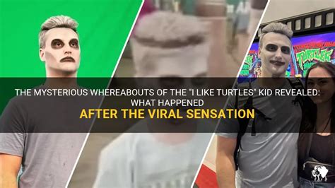 The Mysterious Whereabouts Of The "I Like Turtles" Kid Revealed: What Happened After The Viral ...