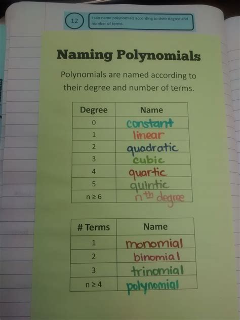 Polynomial Vocabulary Worksheet