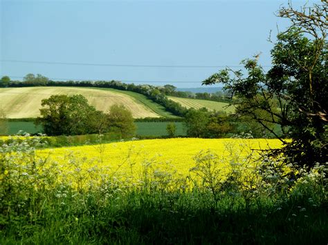 Rolling Wiltshire Countryside | This was taken in fields bet… | Flickr