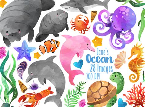 Watercolor Ocean Animals Clipart By Digitalartsi | TheHungryJPEG.com